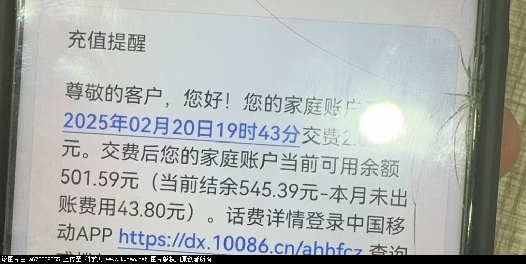 mmexport1740063217299.jpg